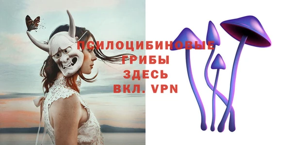амф Бронницы