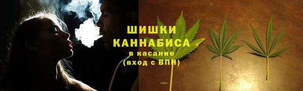 амф Бронницы