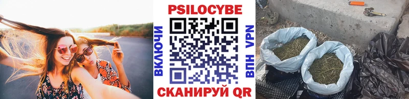 наркота  Тверь  Галлюциногенные грибы MAGIC MUSHROOMS 